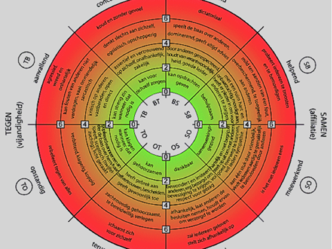Hoe ontdek ik mijn gedragspatroon (naar roos van Leary)?